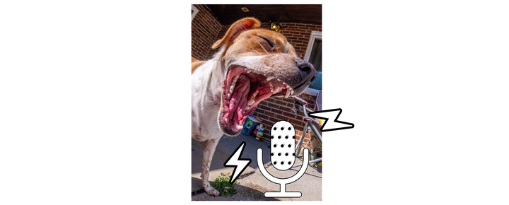 Paws for a Moment 01: A Podcast for Dogs By Dogs - Hosted by Leonard Pie and Annie